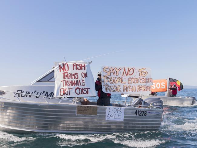 Okehampton Bay Triabunna Tassal Flotila Protest Picture: REBECCA RAMAGE