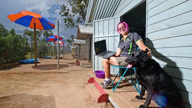 Pets are treated to aircon, walks, play times, their own villa and Skype their owners.