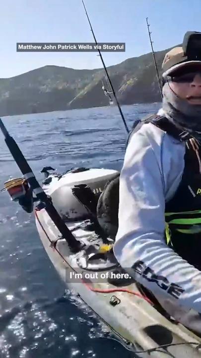 Terrifying moment kayaker is staked by massive great white