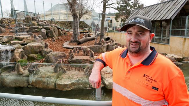 City of Launceston Council's City Park head gardener and monkey keeper Wally Medwin. Picture: PATRICK GEE