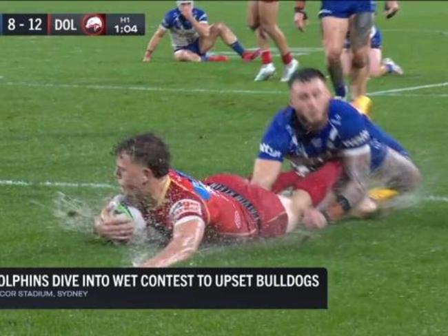 Dolphins belt Bulldogs in heavy rain