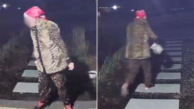 A middle-aged gnome thief has been caught on camera, making off with a Fairview Park grandmother’s precious ornament. Picture: Supplied