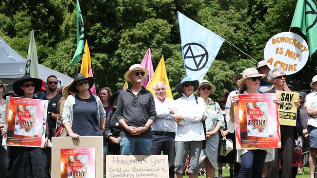 Anti-protest laws rally on Parliament Lawns. Picture: NIKKI DAVIS-JONES