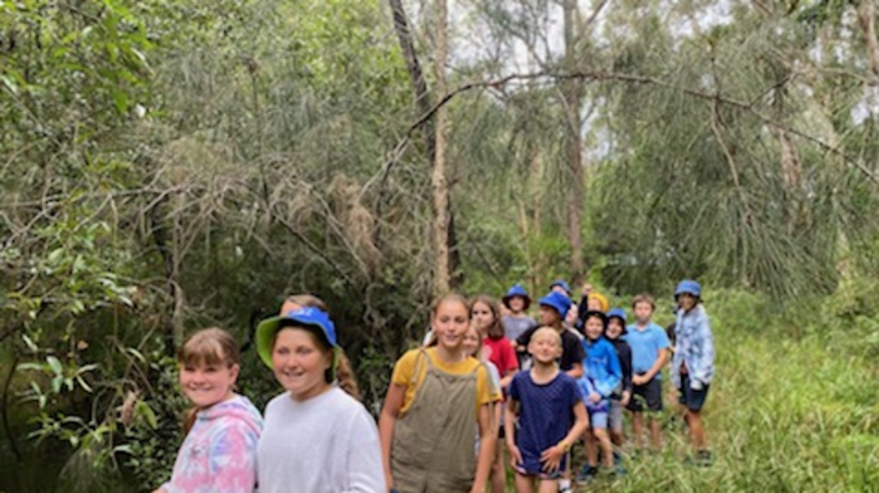 Yamba Public School’s ‘school camp’ | Daily Telegraph