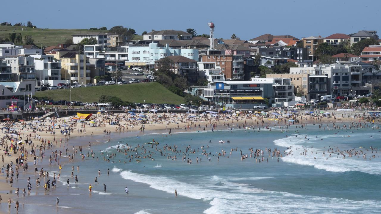 Shark nets at Bondi Beach must go - SharkNewz