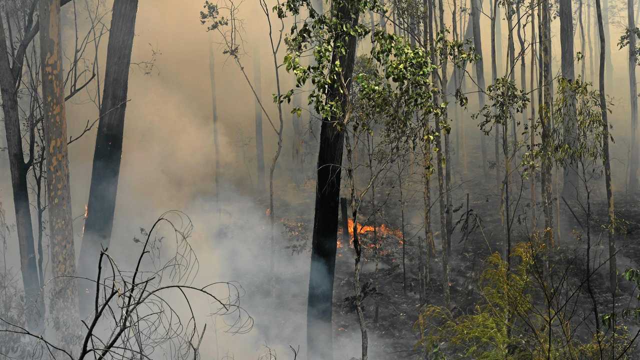 FIRE UPDATE: Latest news from Tabulam fire | Daily Telegraph