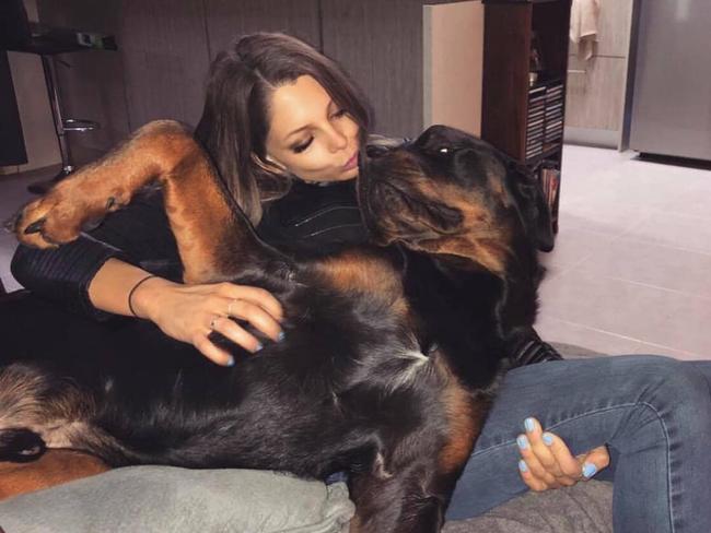 Nikita Piil's two rottweiler dogs Bronx and Harlem. Picture: Facebook