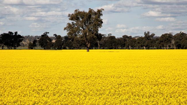 Glaisnock was sold this year by MH Premium Farms for $8.8 million.