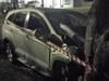 ‘Intimidating us’: Girls charged after stolen ride crashes into tree
