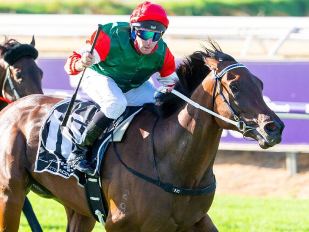 Western Australia Racing | Horse Racing News, Guides & Results | news ...