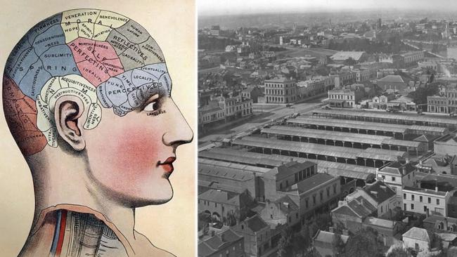 Medor was a practitioner of the esoteric arts including phrenology, at the sprawling Eastern Market. Picture: State Library of Victoria