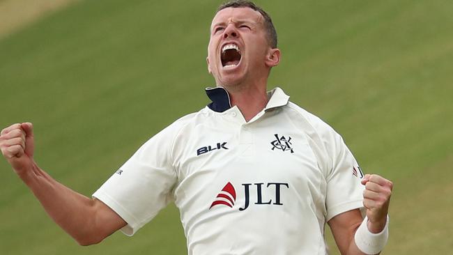 Peter Siddle is right in the hunt for an Ashes berth.