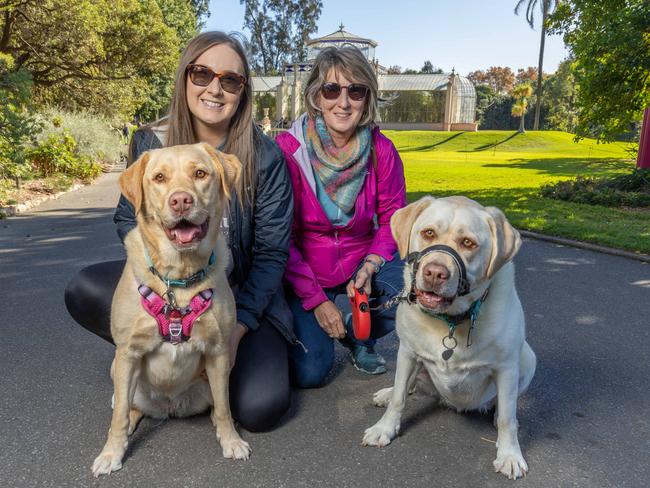 RSPCA SA's Million Paws Walk in Adelaide on May 25, 2025. Picture: Ben Clark