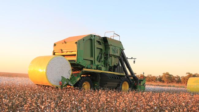 Cotton farmers have been found to be more lonely than their counterparts, due to low general acceptance of the industry.