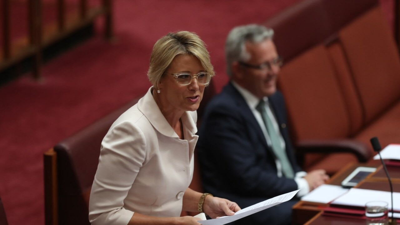 'There's not a seat' Kristina Keneally 'can't lose'