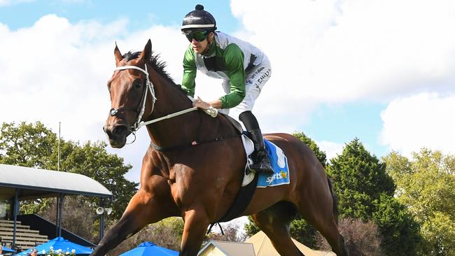 Impressive debut winner Vanishing should be hard to beat despite stepping up in class at Werribee on Monday. Picture: Racing Photos via Getty Images.