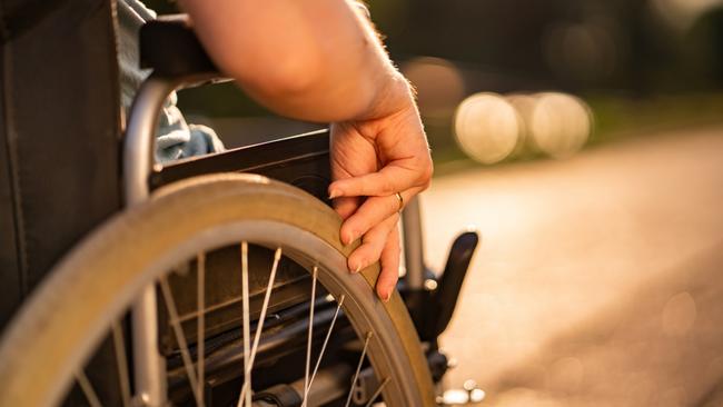 The NDIS review published nearly 800 submissions made during its 12-month long investigation into the scheme.