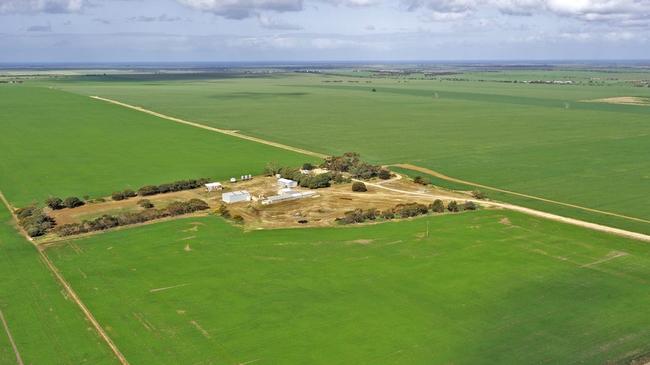 The Curramulka farms combined for 353ha south Maitland, SA.