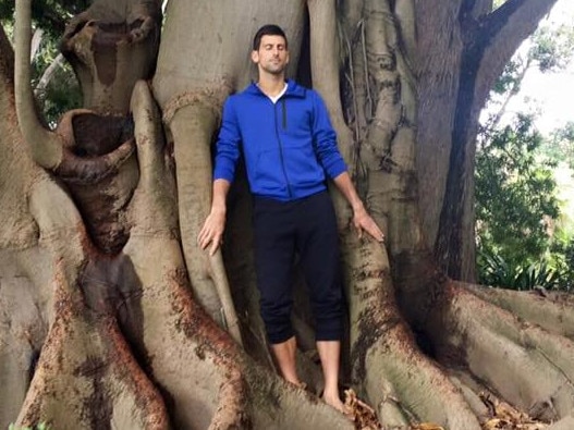 Djokovic with his favourite tree in 2024. Picture: Novak Djokovic/Facebook