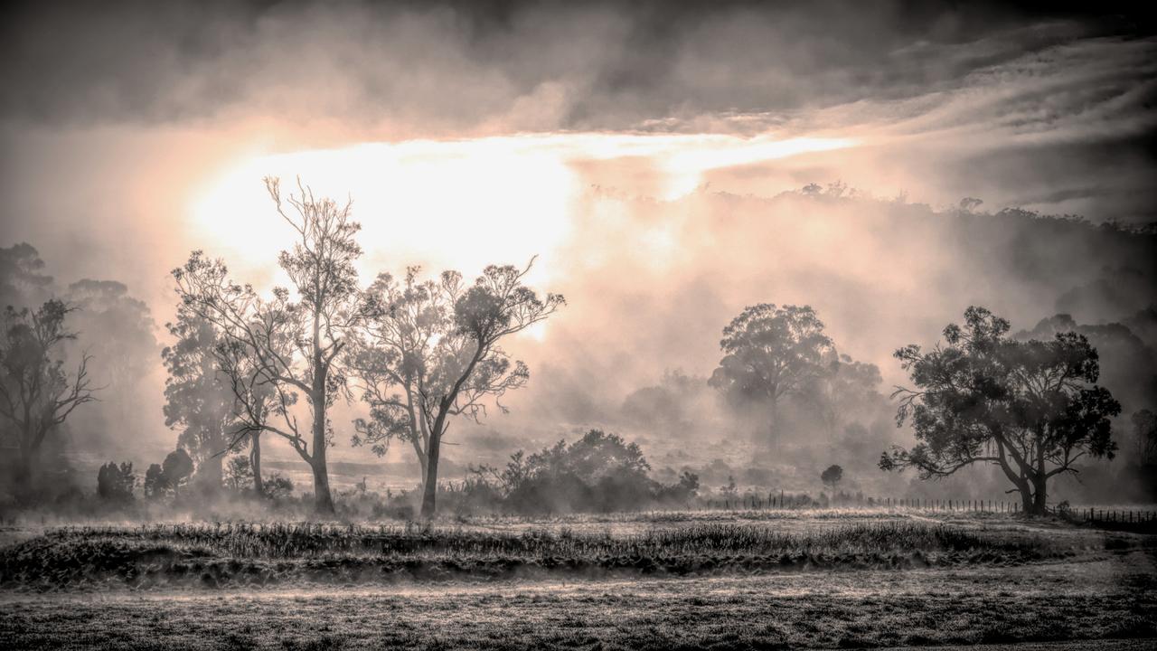 Lilydale. Picture: Mandy Kidd. Your Focus on Tasmania **ONE TIME USE ONLY**