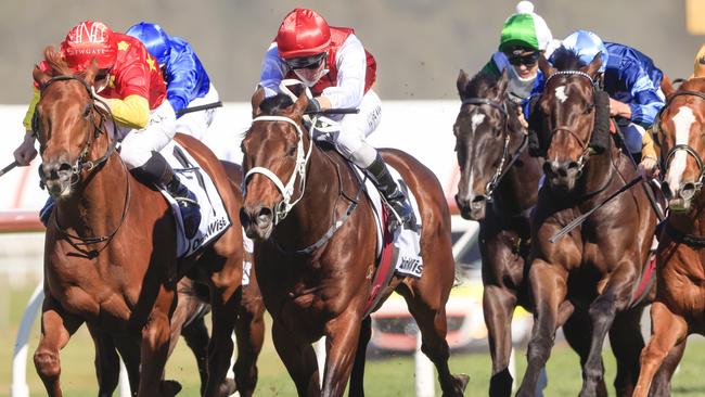 Giannis (red and white silks) heads to the Golden Rose off a 1500m race win in the Dulcify Stakes. Picture: Getty Images