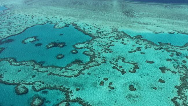 Great Barrier Reef death: Japanese tourist, 75, dies shortly after ...