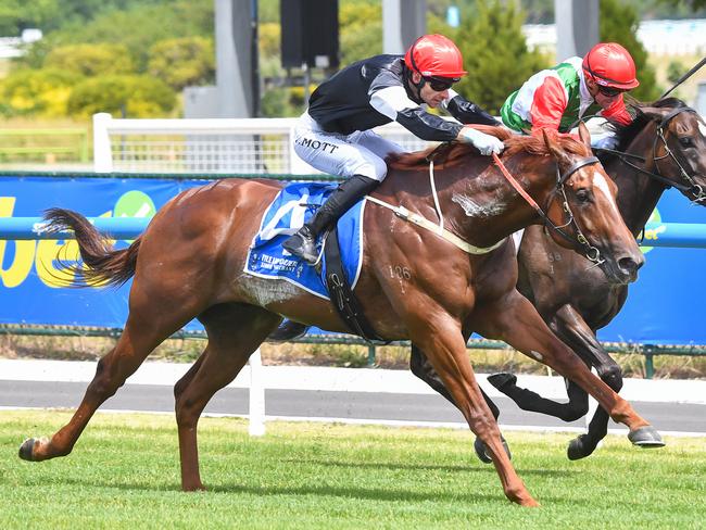 Royal Insignia, ridden by Jamie Mott, wins at Caulfield Heath. Picture: Pat Scala/Racing Photos via Getty Images