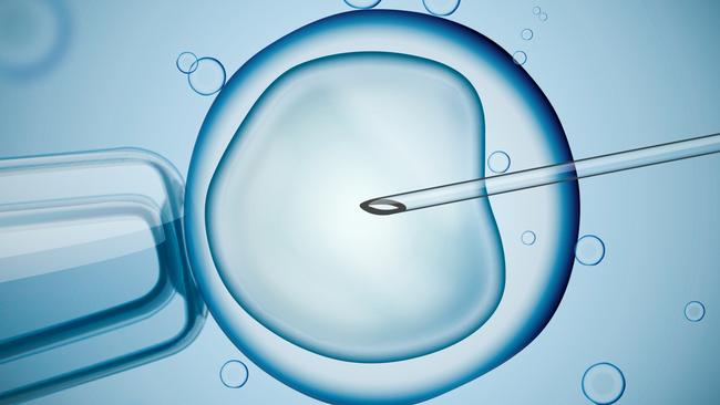 IVF group Genea said the number of women freezing their eggs jumped 1567 per cent between 2013 and 2023. Picture: iStock