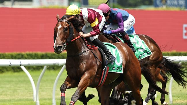 SYDNEY, AUSTRALIA - DECEMBER 28: Mitch Stapleford riding Sir Remlap wins Race 2 TAB Highway Handicap during Sydney Racing at Royal Randwick Racecourse on December 28, 2024 in Sydney, Australia. (Photo by Jeremy Ng/Getty Images)