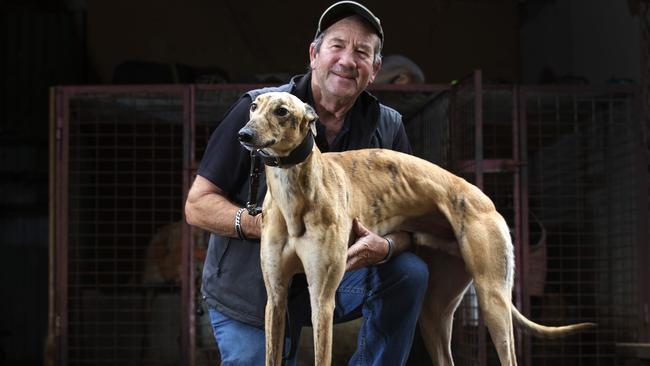 Greyhound owner and trainer Butch Deverell with dog Bobby at Penguin. Picture: CHRIS KIDD