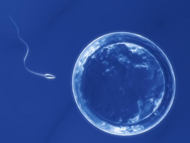 An analysis of 7500 studies since the 1970s indicates male sperm production among Western populations has fallen 59.3 per cent. Picture: Thinkstock