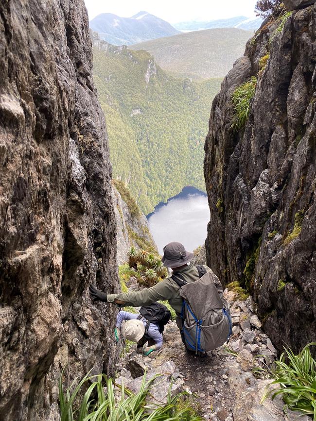 Federation Peak walk: Starting the descent into Geeves Gully.