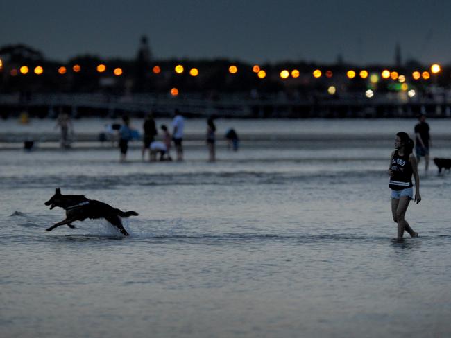 People escaping the heat enjoy a swim at Middle Park Beach. Picture: Andrew Henshaw