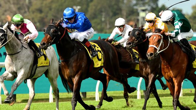 Zebra Finch (left) put himself in contention for the Group 1 JJ Atkins after his win at Rosehill. Picture: Getty Images
