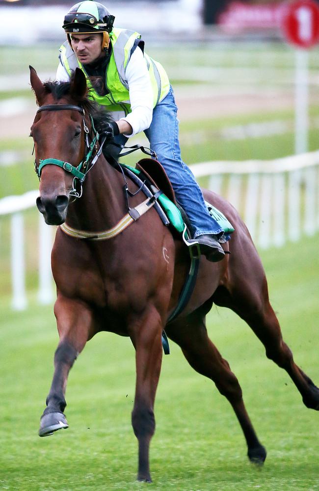 Artlee with trainer Todd Willan at Doomben trackwork recently. Picture: Liam Kidston