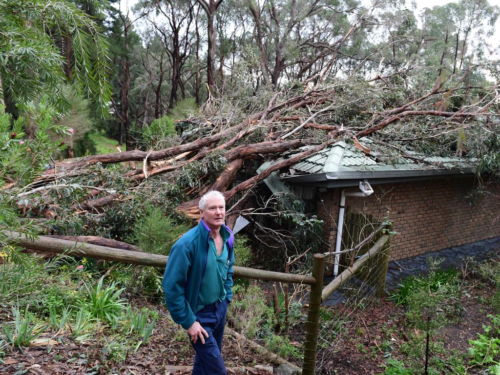 Simon Playfair inspects the damage at brother Roger’s home Holborn Hill Rd Aldgate after trees fell on it. Picture CAMPBELL BRODIE.