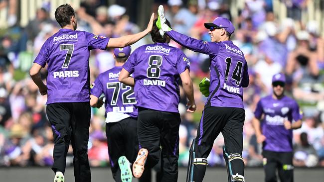 Joel Paris and Tim Paine celebrate a wicket.