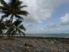 Kayaker thrown into water sparks desperate rescue