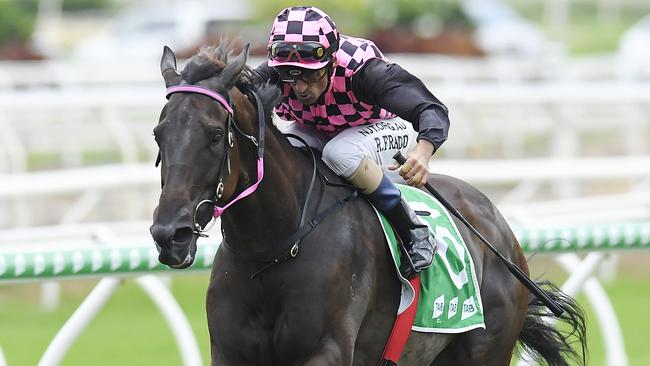 Robbie Fradd steers Emerald Kingdom to victory at Eagle Farm. Picture: AAP