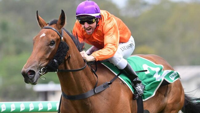 Miss Hipstar wins at Ipswich with Larry Cassidy in the saddle. Picture: Trackside Photography