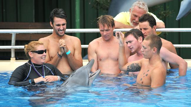 A long list of celebrities have visited the park over the years, including Bondi Rescue boys.