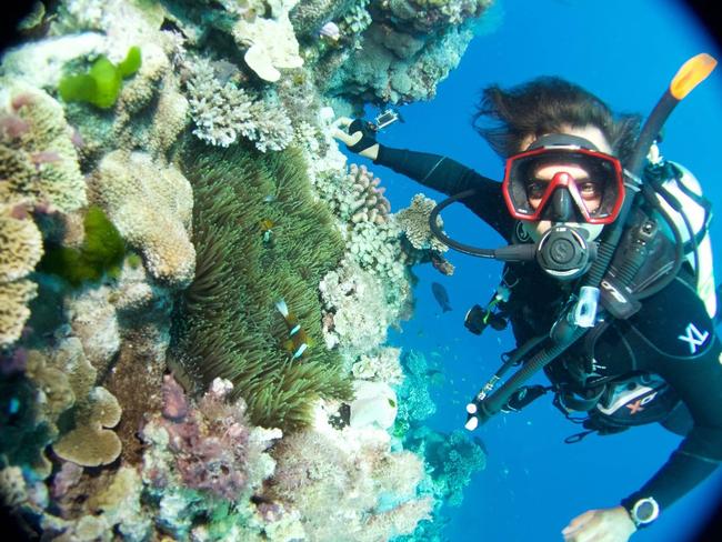 The threat to the Great Barrier Reef ‘should be a concern of all Australians’ says Midnight Oil drummer Rob Hirst.