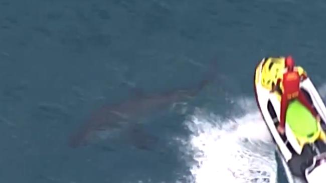 A jet ski moves within the area of the shark. Picture: 7NEWS