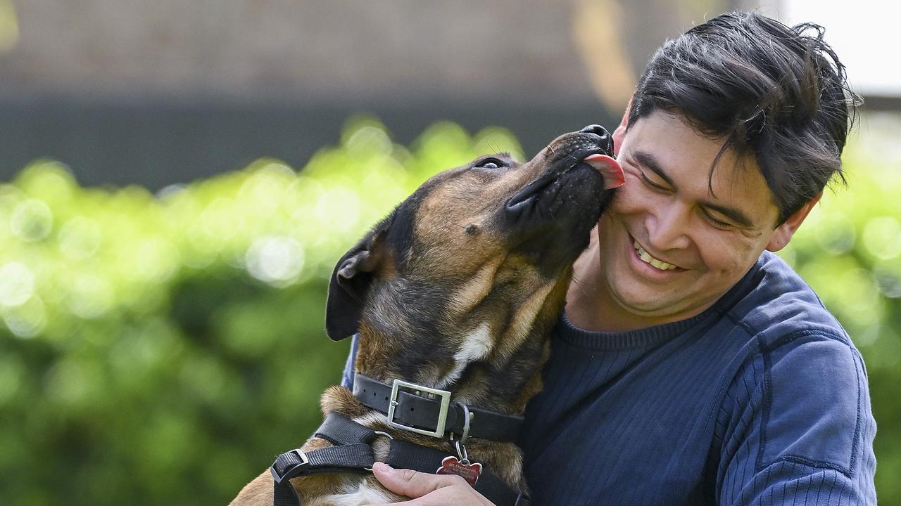 Michael Fiegert and his Staffie x Mastiff "Wally". Picture: Mark Brake