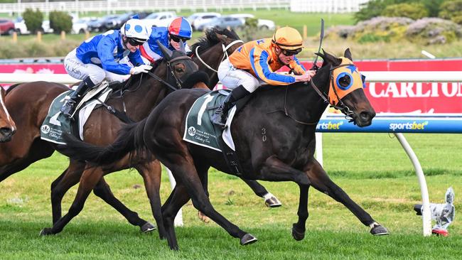 Quintessa won the Cockram Stakes at Caulfield to improve her first-up record. Picture: Reg Ryan/Racing Photos via Getty Images