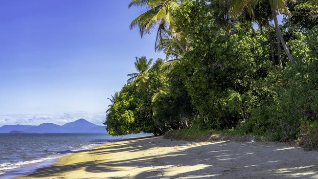 Wonga Beach, north of Port Douglas.