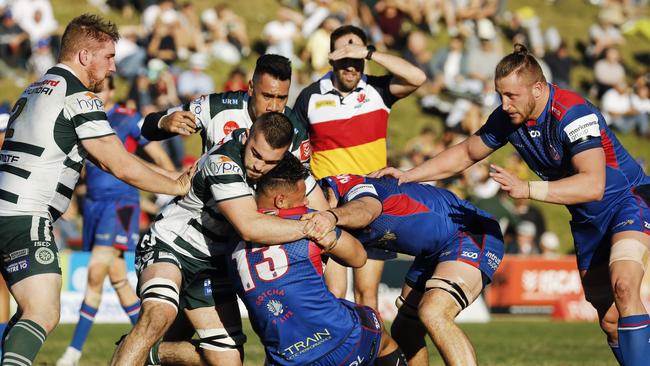 Shute Shield players could be lining up against Pocock. Picture: Karen Watson