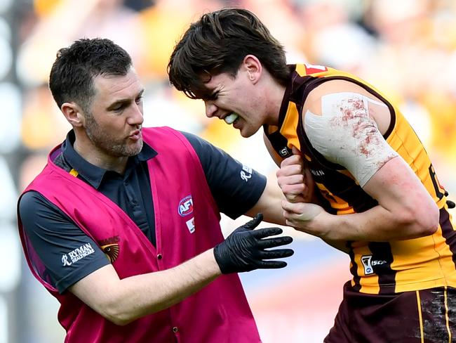 MELBOURNE, AUSTRALIA - AUGUST 18: Will Day of the Hawks receives medical attention during the round 23 AFL match between Hawthorn Hawks and Richmond Tigers at Melbourne Cricket Ground, on August 18, 2024, in Melbourne, Australia. (Photo by Josh Chadwick/AFL Photos/via Getty Images)