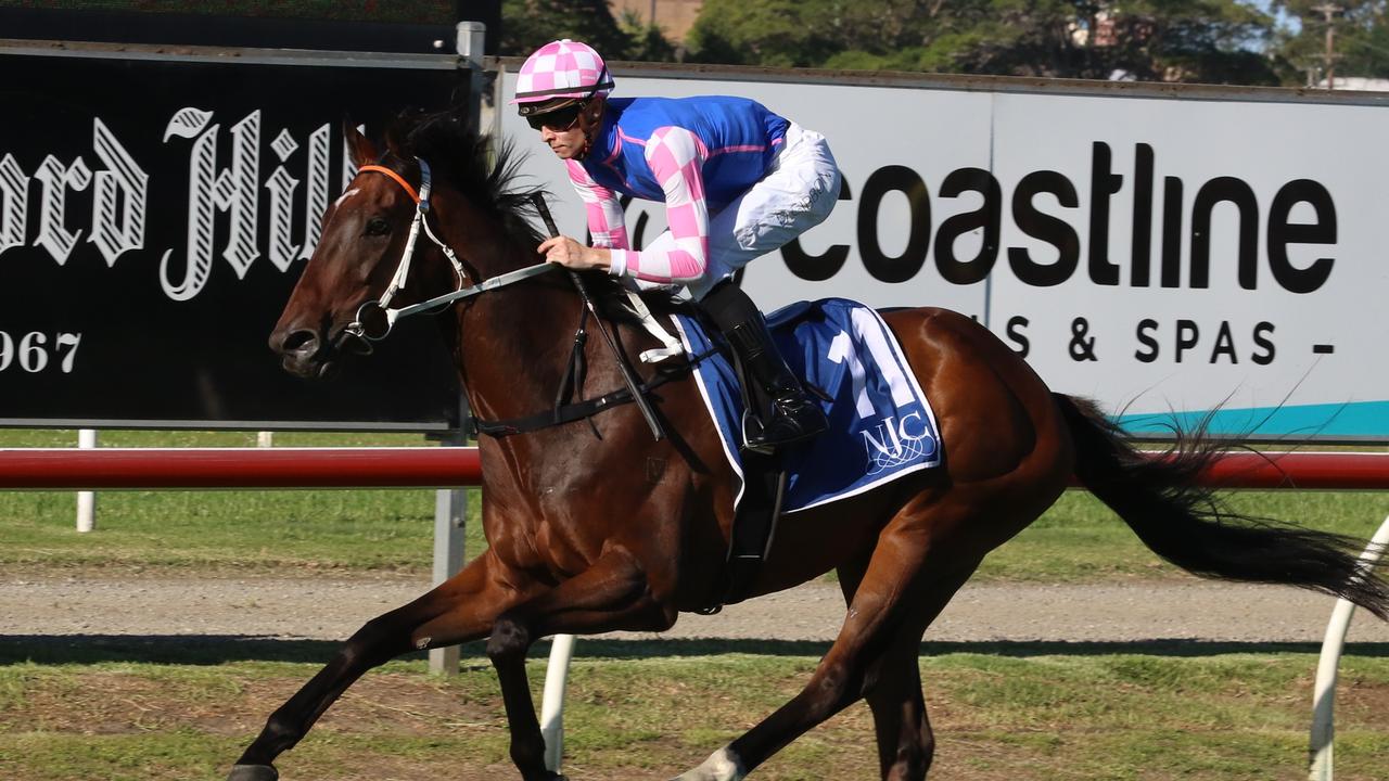 Trainer Kris Lees has a two-pronged attack in the Scone Cup with Tavi Time (pictured) and Loch Eagle. Picture: Bradley Photos