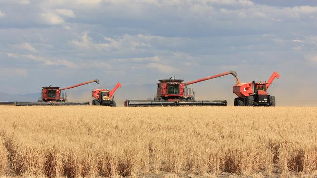 Harvest at Boolcarrol and Milton Downs properties near Moree, in northern NSW. Picture: File